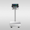 YKT-SF-K12-Bench Scale
