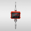 YK-C-D11-Crane scale