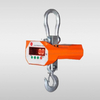 YK-C-D10-Crane Scale