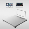 Portable Platform Scale-Platform Scale