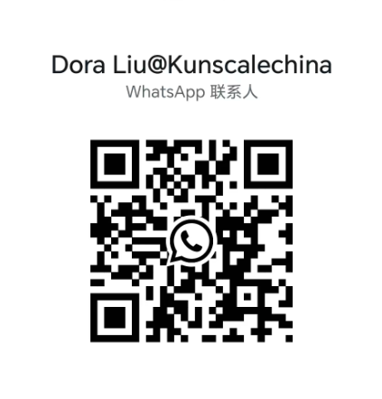 +86-13656268067